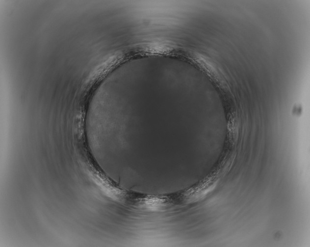 X0000093460462200710261024