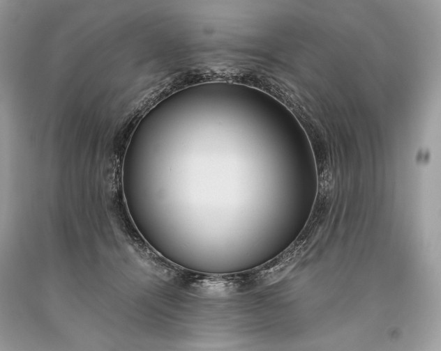 X0000093460464200710261024