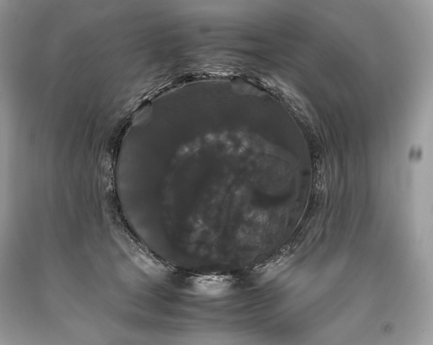 X0000093460465200710261024