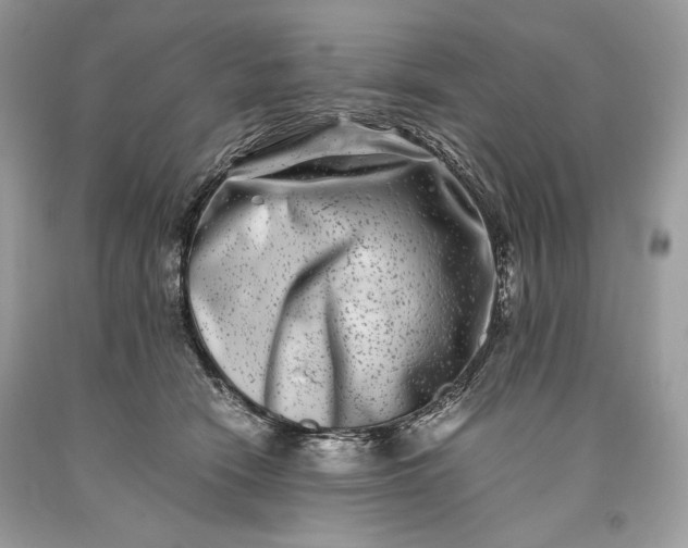 X0000093460466200710261024