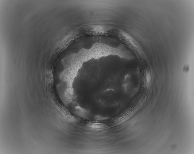 X0000093460467200710261024