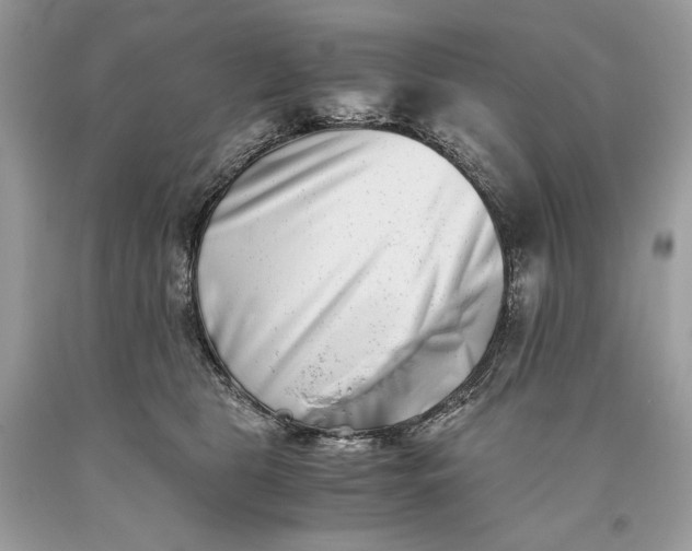 X0000093460469200710261024