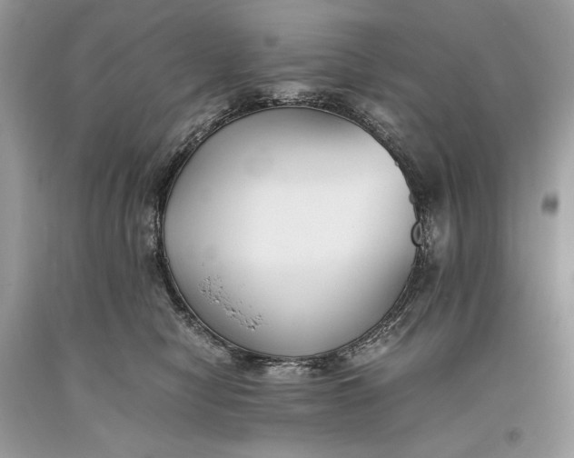 X0000093460470200710261024