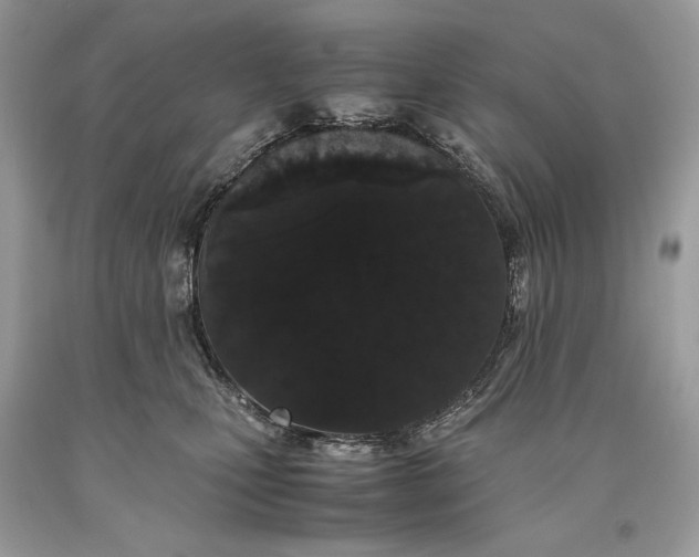 X0000093460471200710261024