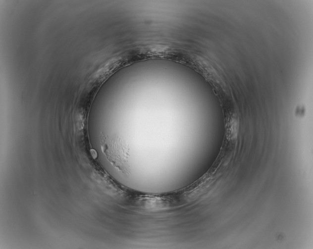 X0000093460472200710261024