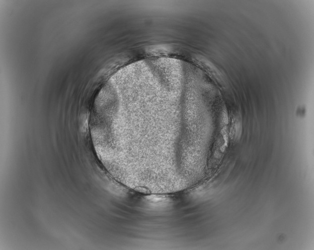 X0000093460477200710261024