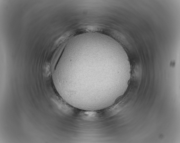 X0000093460478200710261024