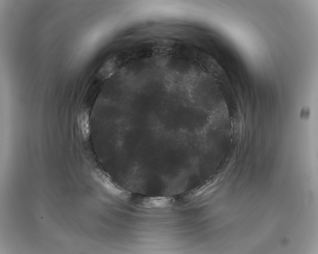 X0000093460479200710261024