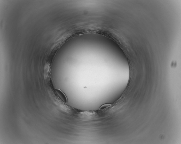 X0000093460480200710261024