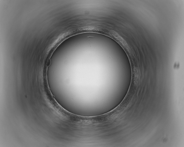 X0000093460482200710261024