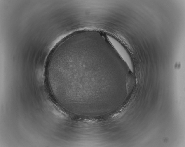 X0000093460484200710261024