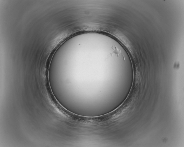 X0000093460485200710261024