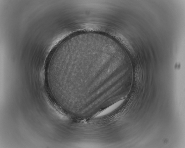 X0000093460488200710261024