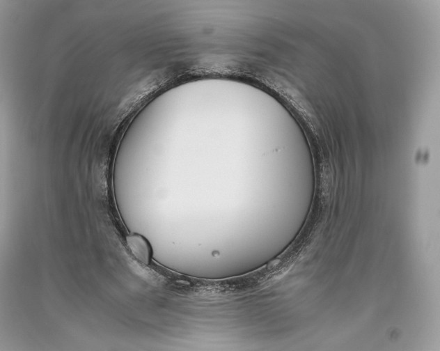 X0000093460489200710261024