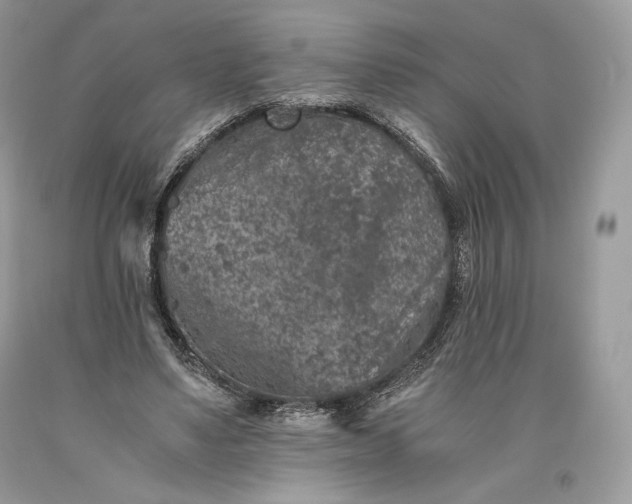 X0000093460491200710261024