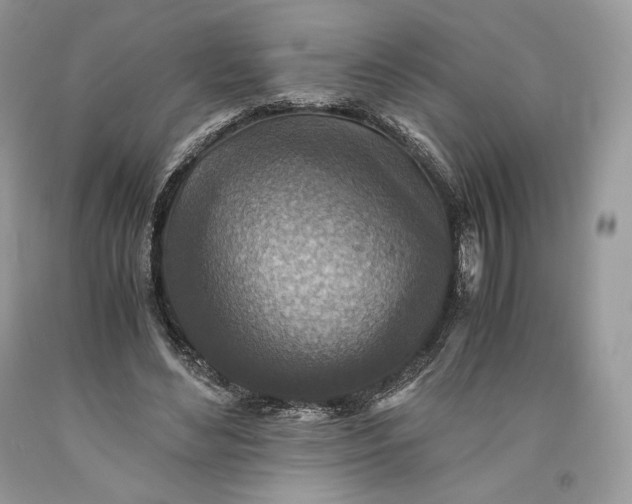 X0000093460492200710261024