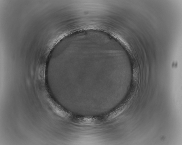 X0000093460493200710261024