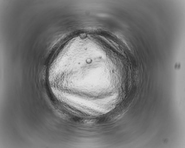 X0000093460495200710261024