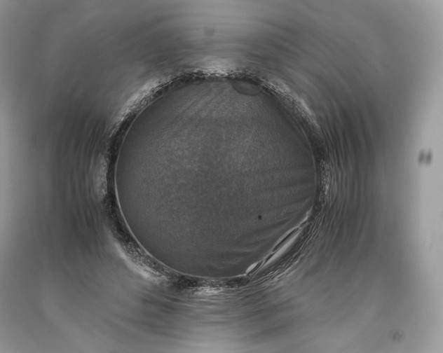 X0000093460496200710261024