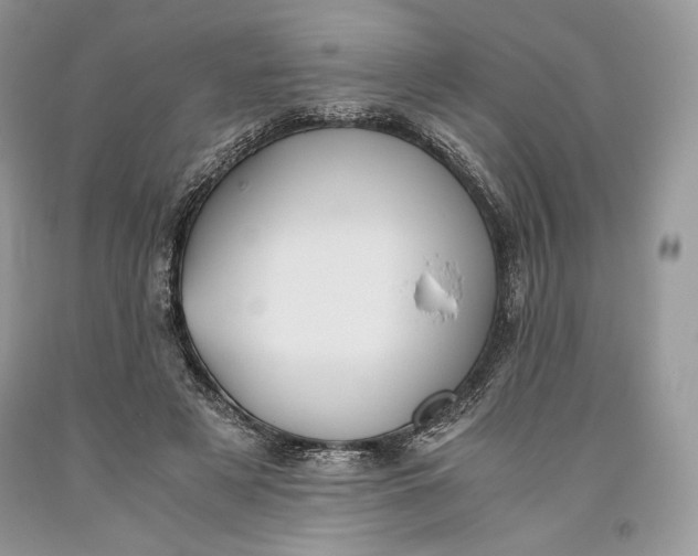 X0000093460497200710261024