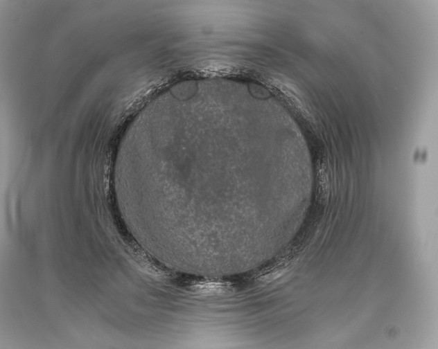 X0000093460499200710261023