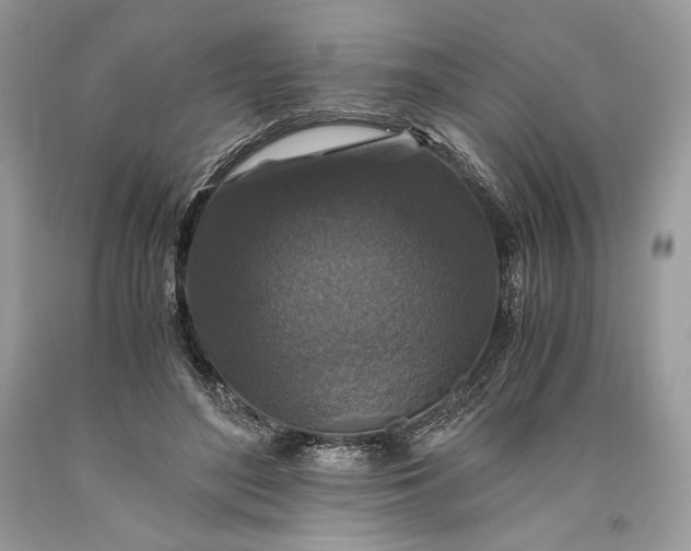 X0000093460500200710261023