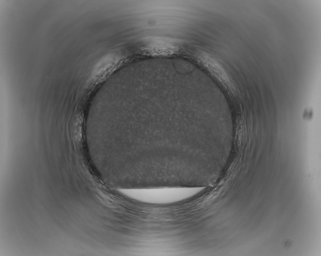 X0000093460501200710261023