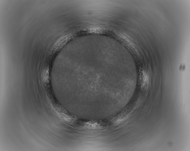 X0000093460502200710261023