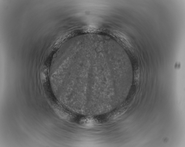 X0000093460503200710261023