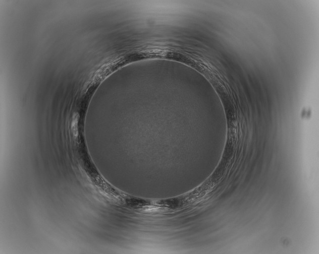 X0000093460504200710261023