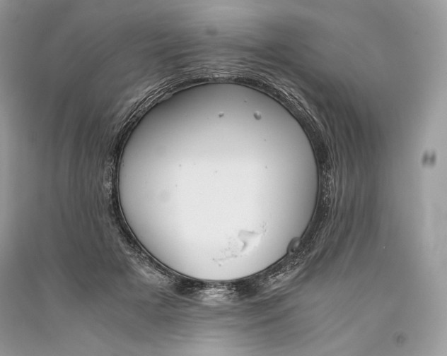 X0000093460505200710261023