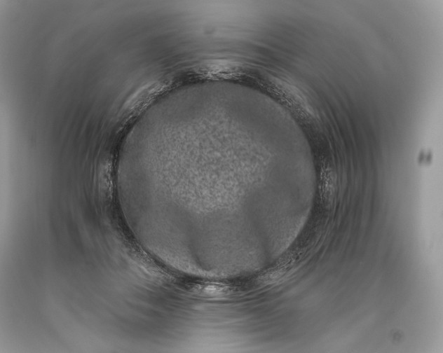 X0000093460506200710261023