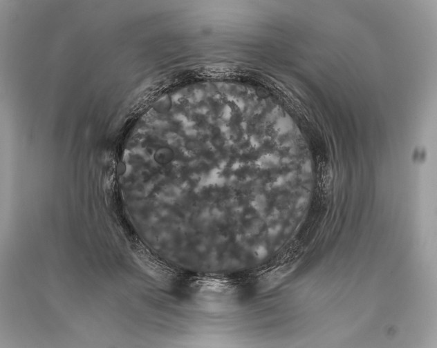 X0000093460507200710261023