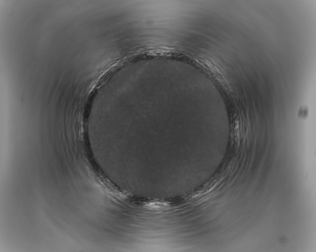 X0000093460508200710261023