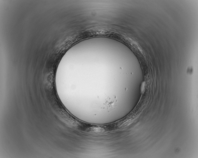 X0000093460509200710261023