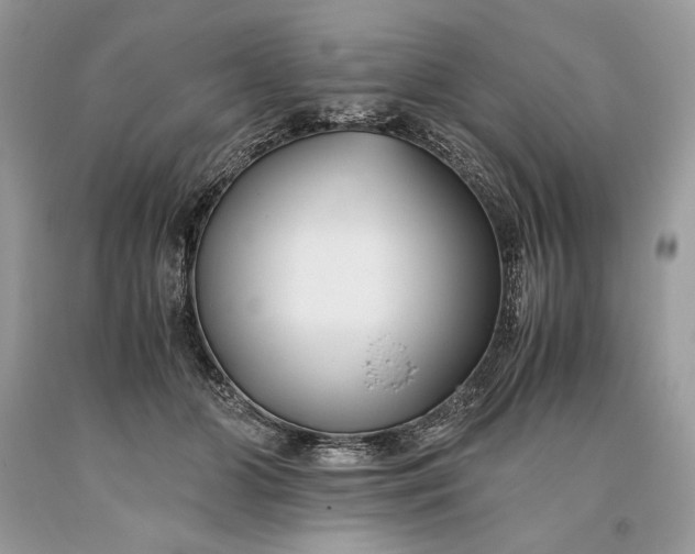 X0000093460510200710261023