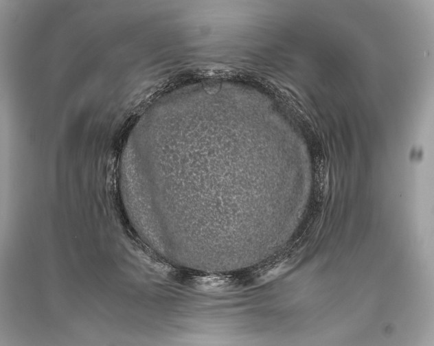 X0000093460511200710261023