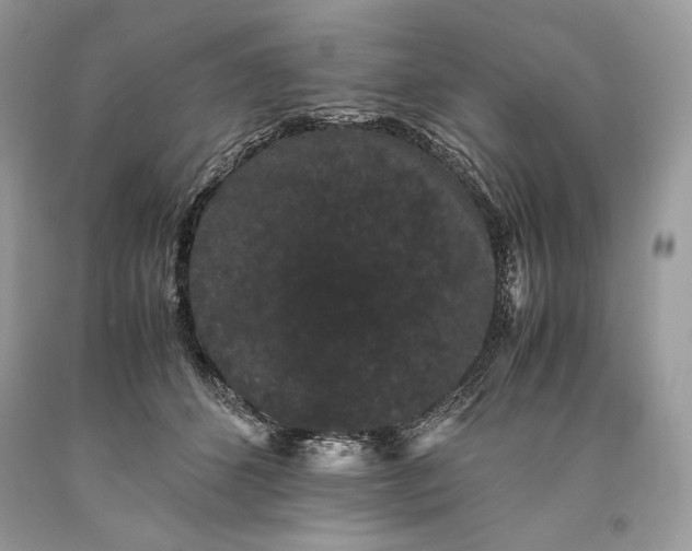 X0000093460512200710261023