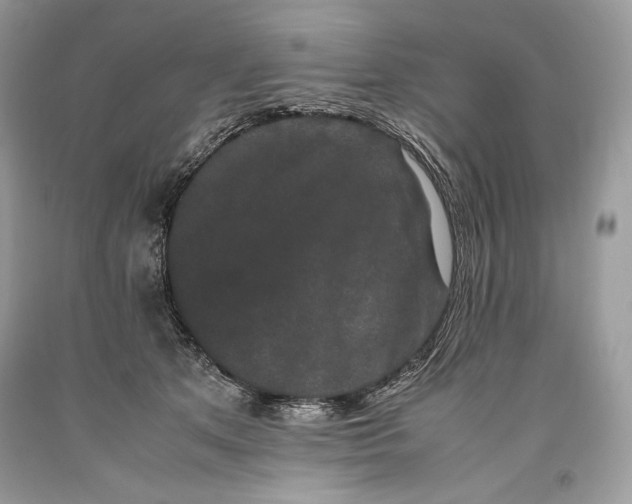 X0000093460513200710261023