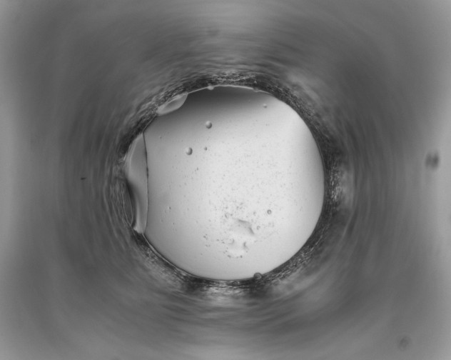 X0000093460515200710261023