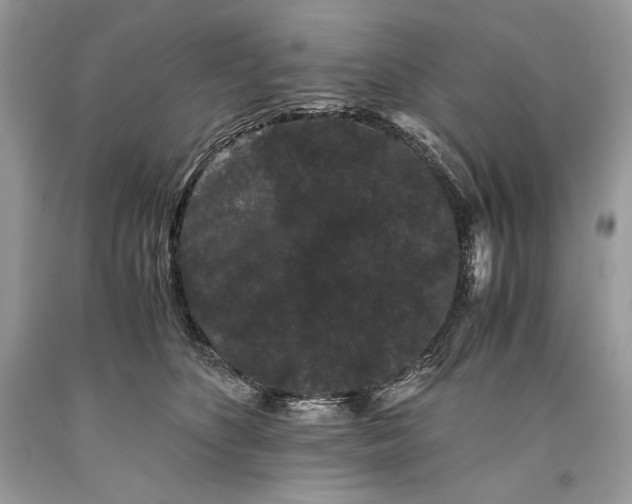 X0000093460516200710261023