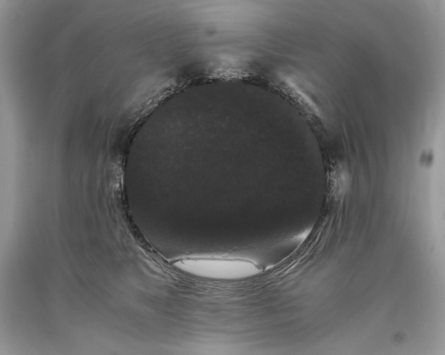 X0000093460517200710261023