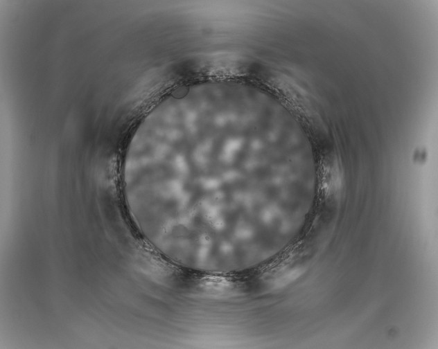 X0000093460519200710261023