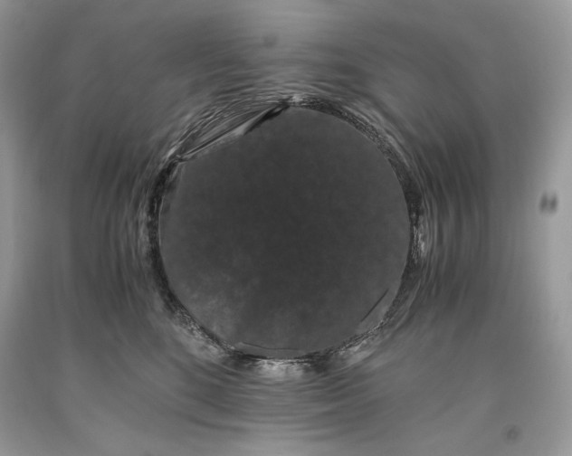 X0000093460520200710261023