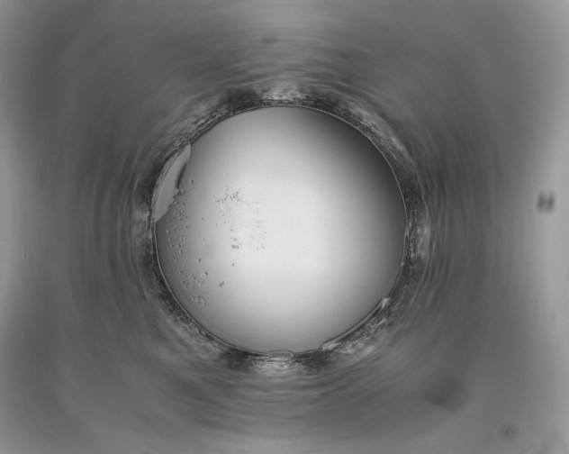 X0000093460521200710261023