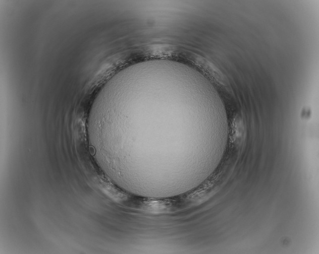 X0000093460522200710261023