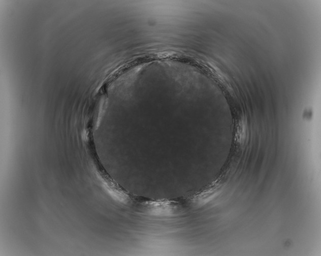 X0000093460524200710261023