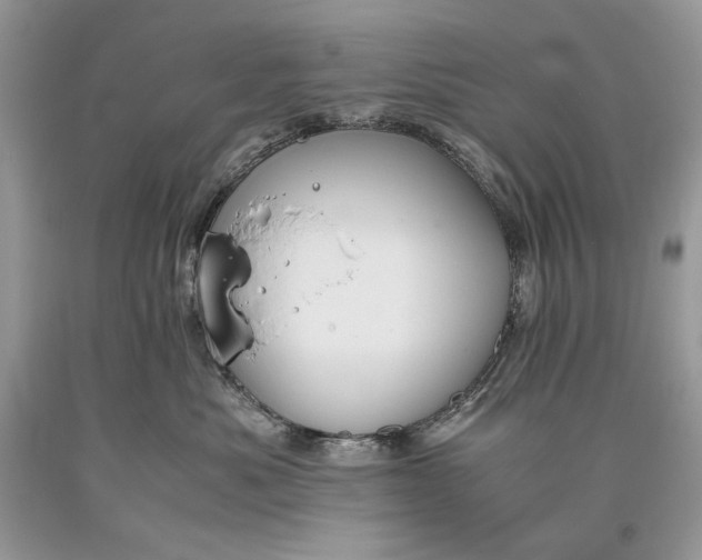 X0000093460525200710261023