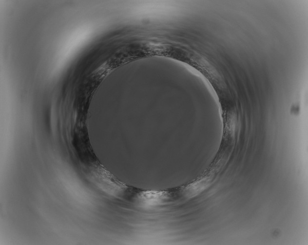 X0000093460526200710261023