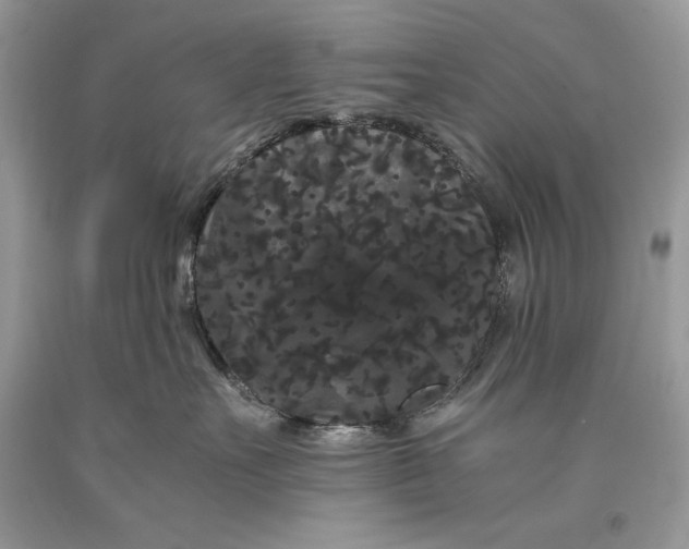 X0000093460527200710261023